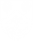 BDBC SHIELD WHITE