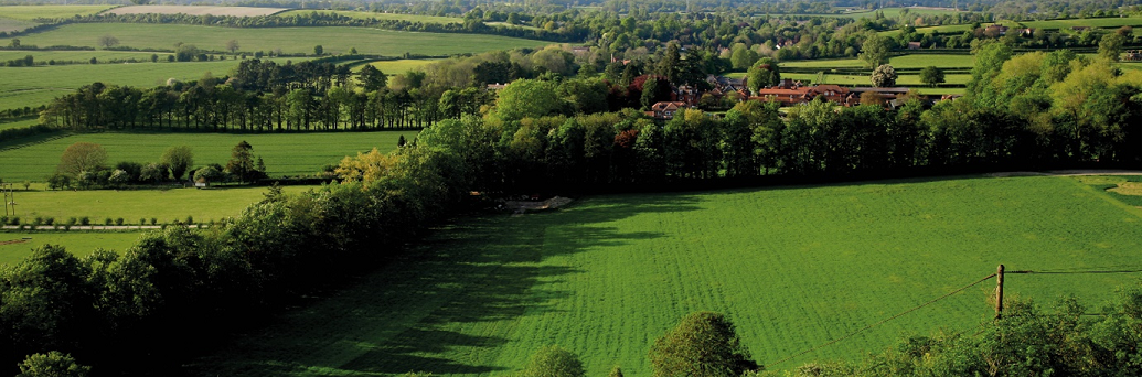 Manydown roles banner